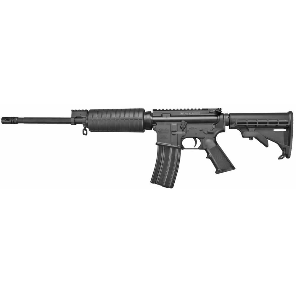 Windham Weaponry 300 Blackout Rifle (R16FTT-300)