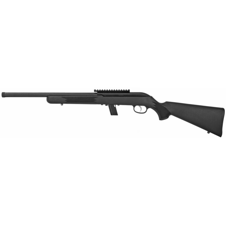 Savage, 64 Fv-sr, Semi-automatic, 22lr Rifle, Black - City Arsenal