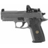 Sig Sauer P229 Legion RXP 9mm Pistol, Legion Gray Finish (E29R-9-LEGION-RXP) - Image 2