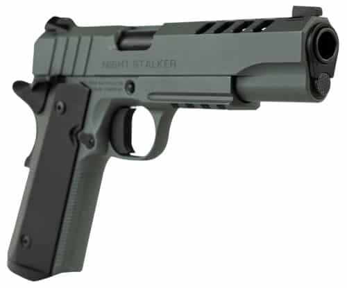 Tisas USA Night Stalker 1911, Full Size 45ACP, Platinum Grey (10100512 ...