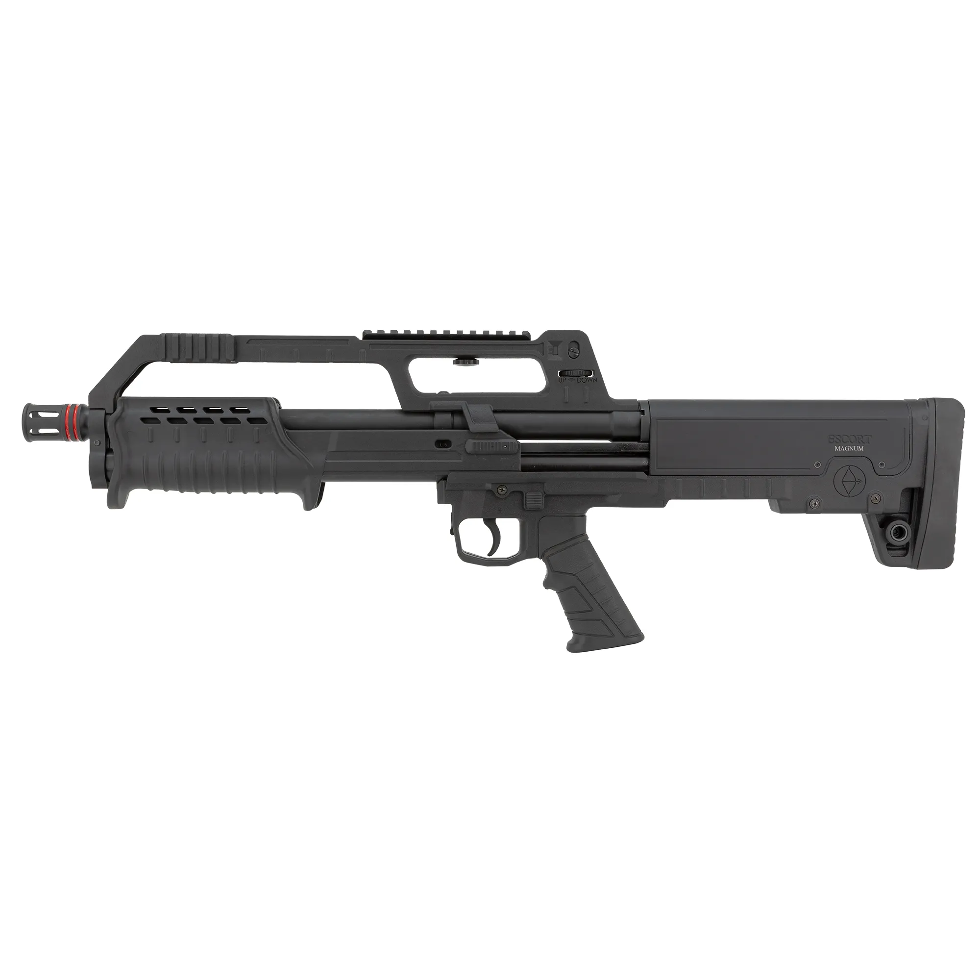 https://cityarsenal.com/product/hatsan-bulltac-20-ga-3-pump-shotgun-black-hebp20180001/