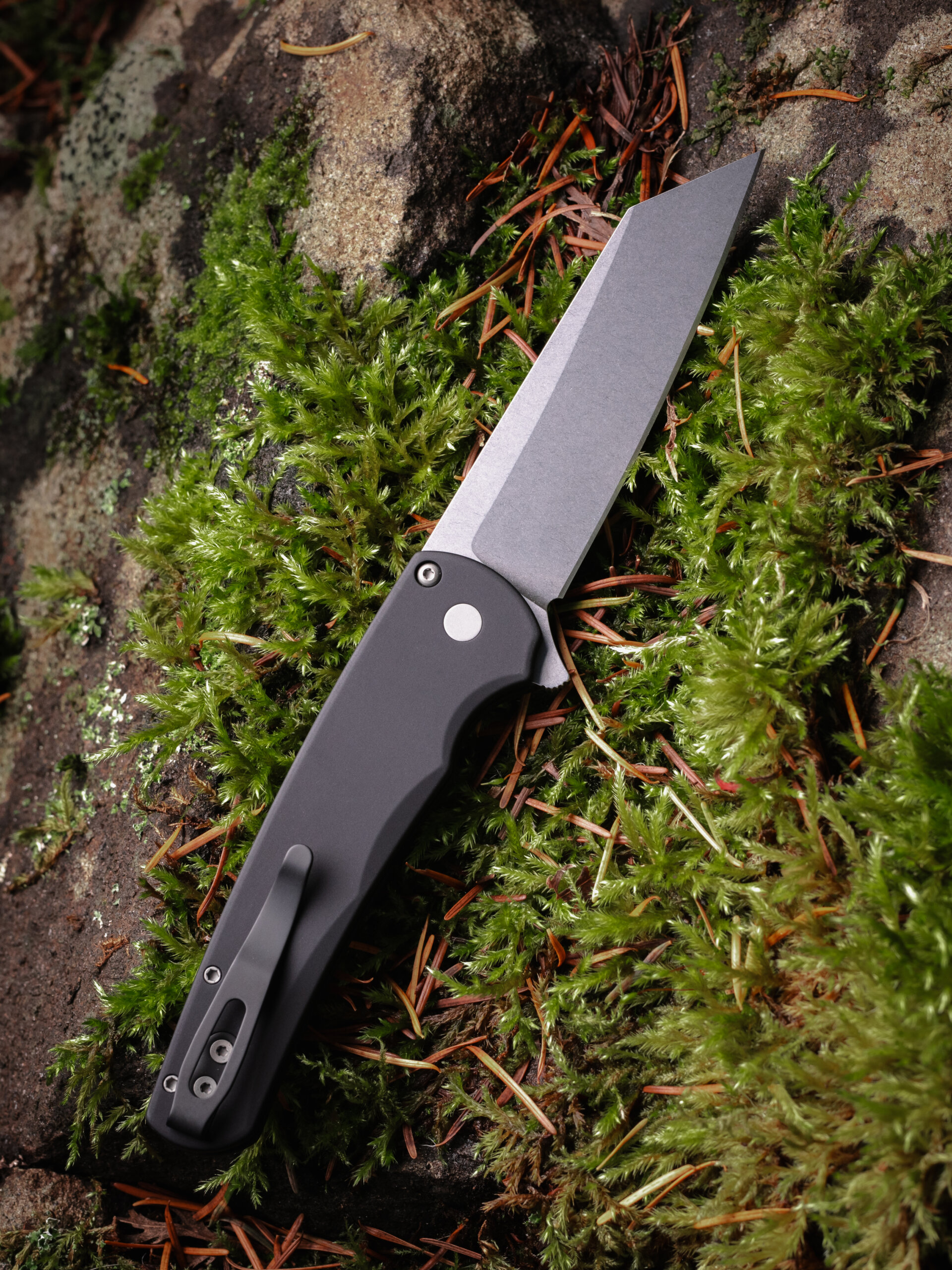 https://cityarsenal.com/product/pro-tech-knives-malibu-flipper-button-lock-knife-black-5401/