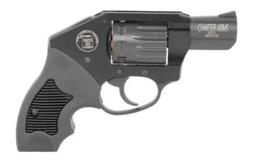 Charter Arms 12311 Walker  22 Mag 8 Shot 2"