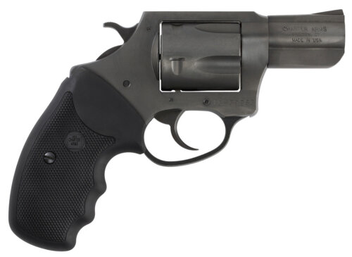 CHARTER ARMS CHARTER PITBULL 40SW NIT 2" FS